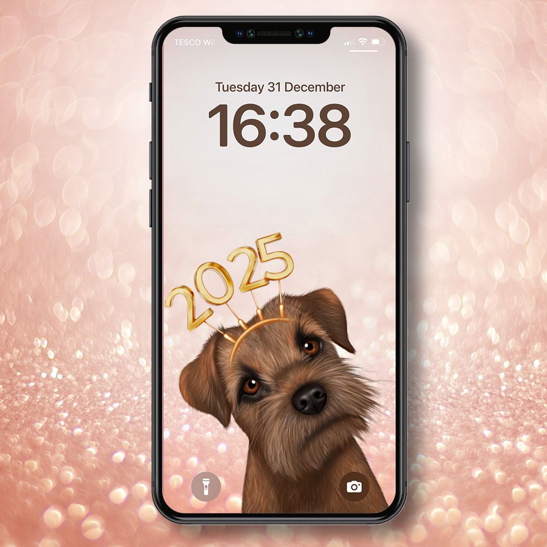 Border Terrier New Year Phone Wallpaper