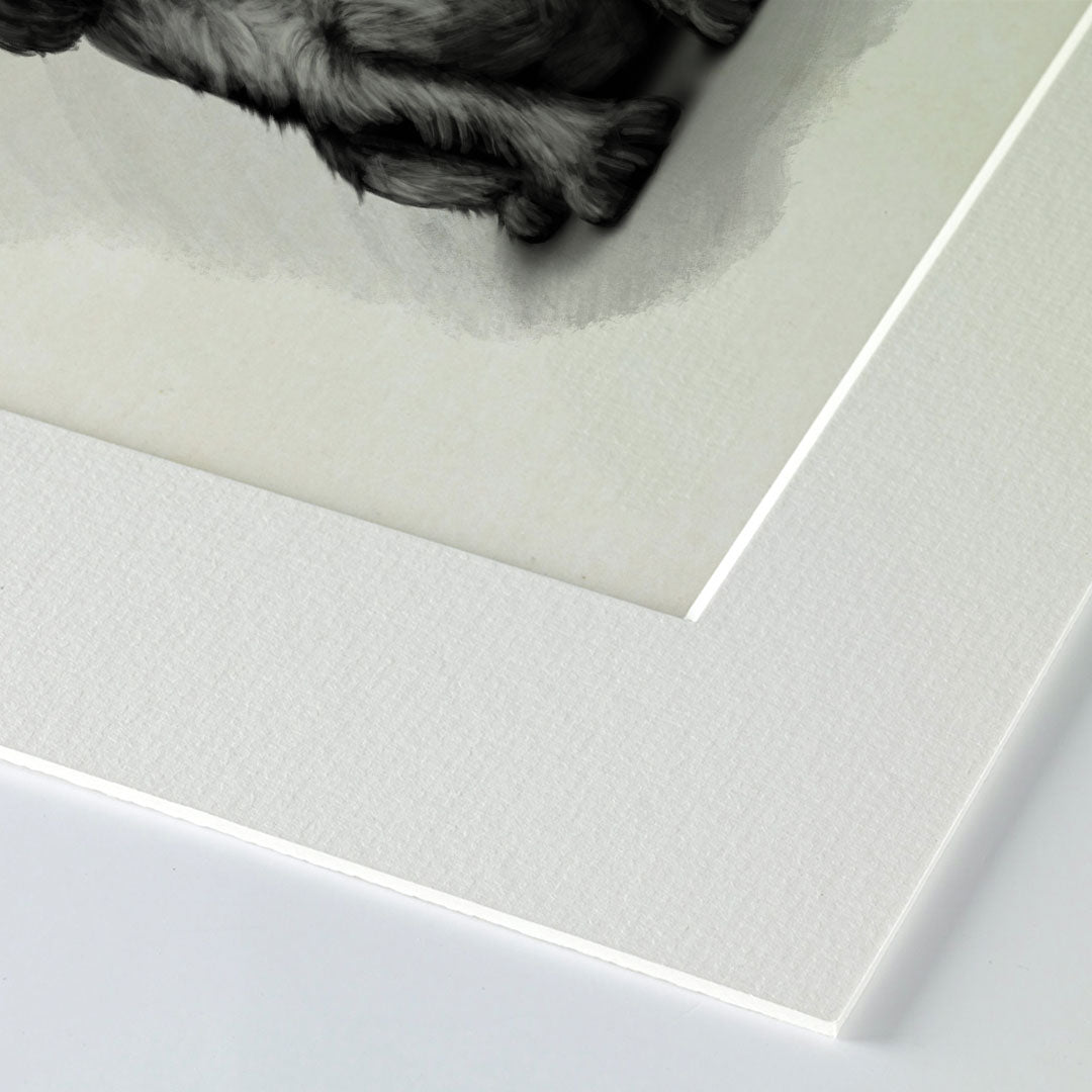 Blue Roan Cocker Spaniel Mounted Print