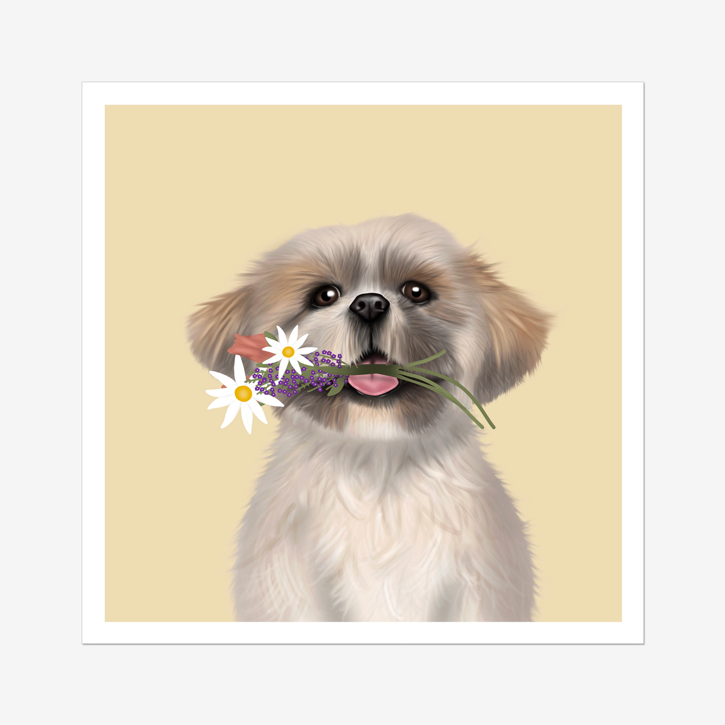 Shih Tzu Digital Download