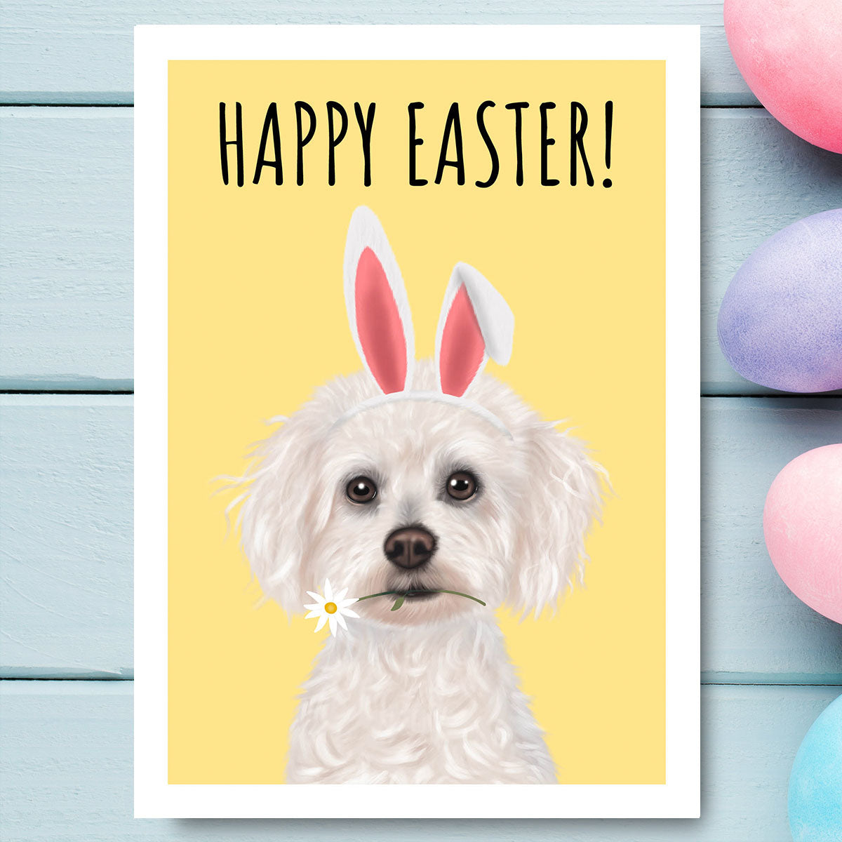 Bichon Frise Happy Easter Card