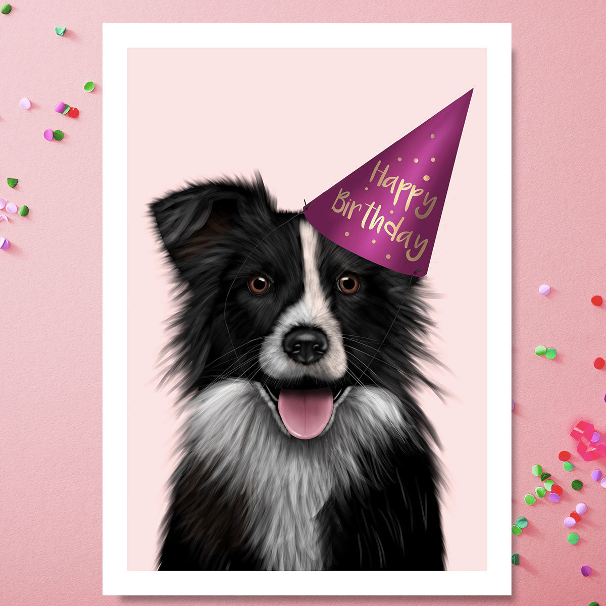 Border Collie wearing Happy Birthday hat. Illustration by Kitty's Art.