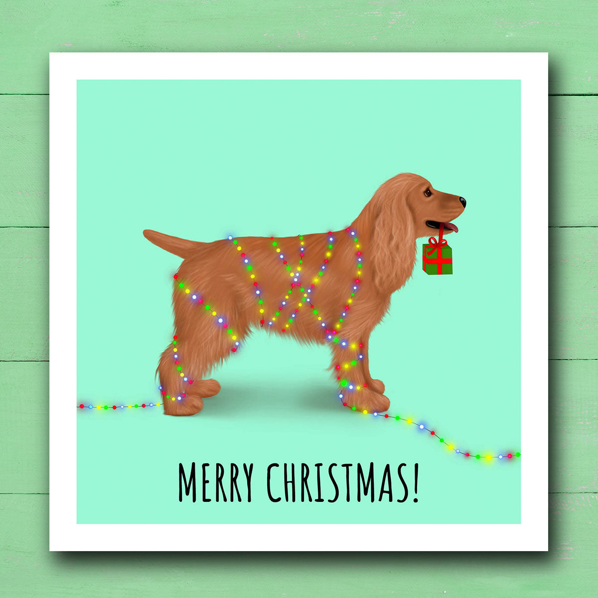 Cocker Spaniel with Christmas Lights