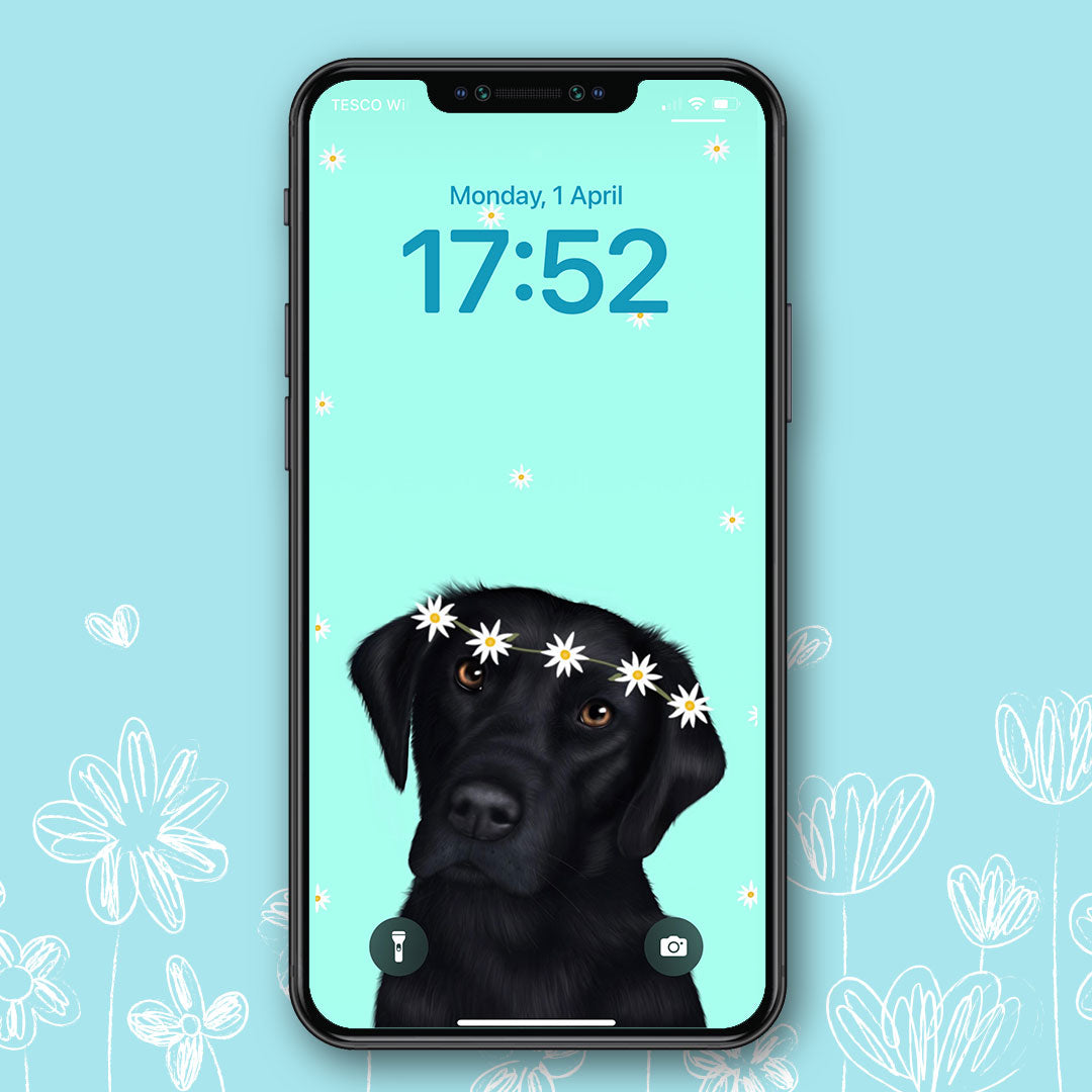 Black Labrador Spring Phone Wallpaper