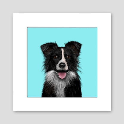 Border Collie Mounted Print