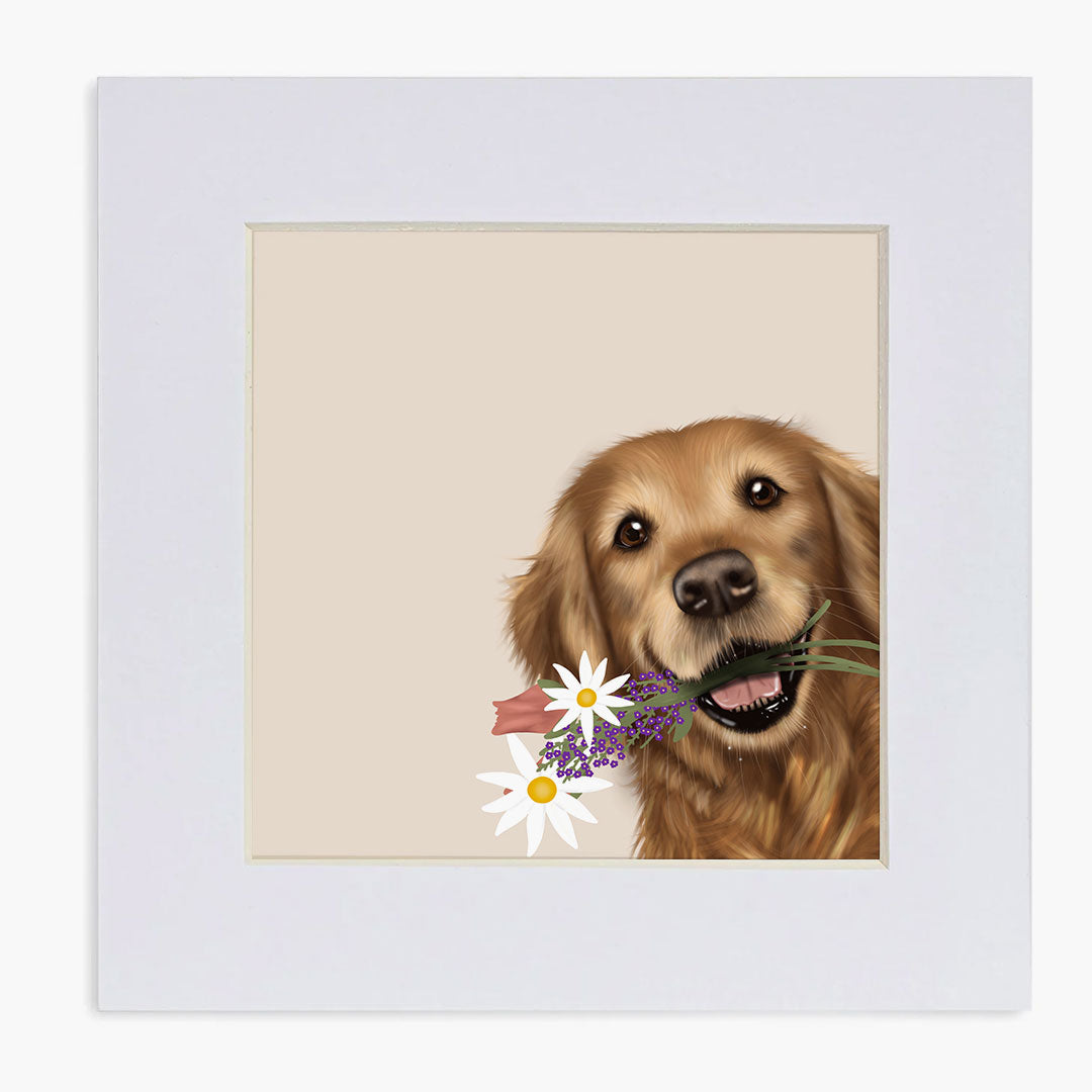 Golden Retriever "got you something" Mounted Print