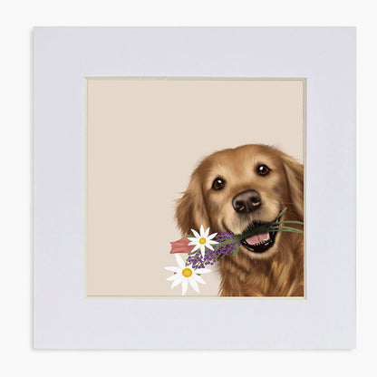 Golden Retriever "got you something" Mounted Print