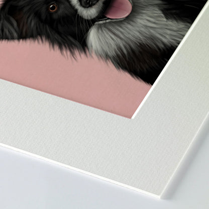 Border Collie Mounted Print