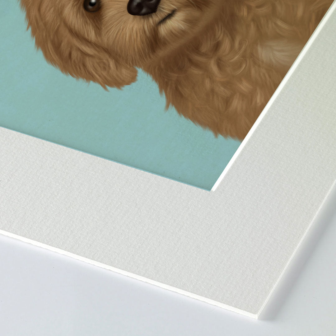 Cavapoo Mounted Print
