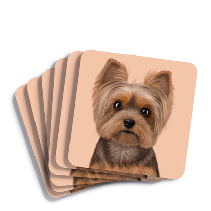 Yorkshire Terrier Drinks Coaster
