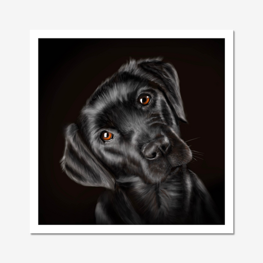 Black Labrador Digital Download