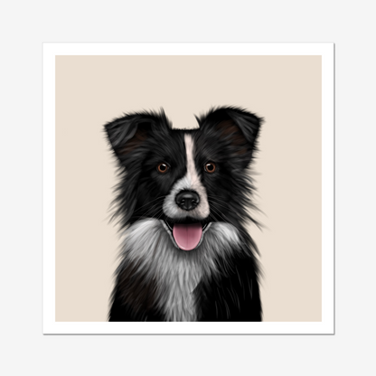 Border Collie Digital Download