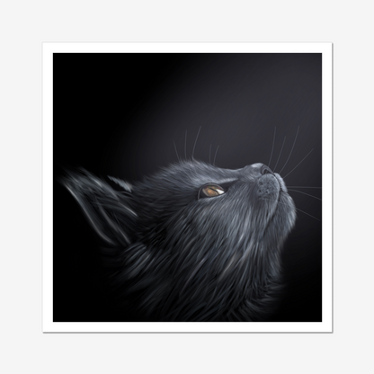 Cat in the night Digital Download