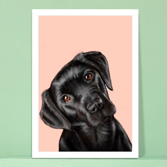 Black Labrador Card