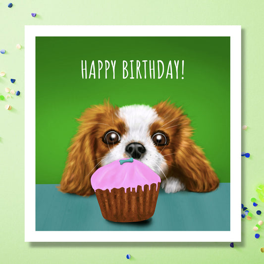 Birthday card with Cavalier King Charles Spaniel staring at a cake