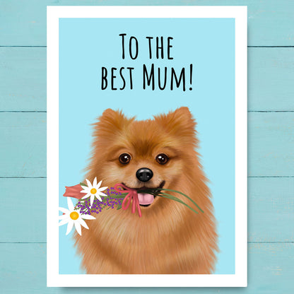 Pomeranian Best Mum Card