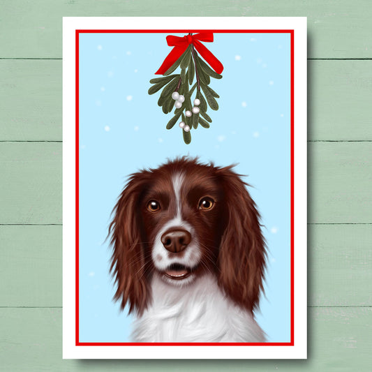 Springer Spaniel under Mistletoe