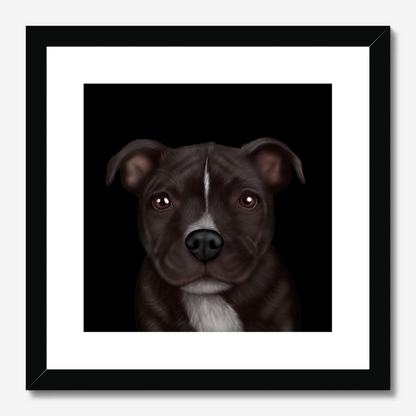 Staffordshire Bull Terrier Framed Print