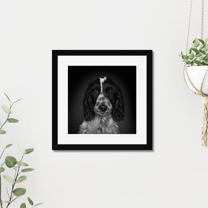 Blue Roan Cocker Spaniel Framed Print