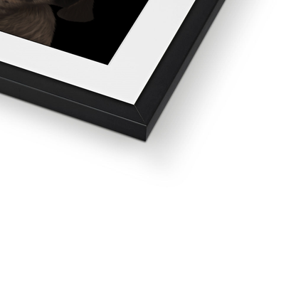 Pug Framed Print